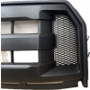 U6 FORD F150 2015- 3,5 4X4 ATRAPA GRILL FL34-8200-AA