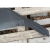 VW PASSAT B8 3G0 SPOILER DOKŁADKA ZDERZAKA PRZÓD PRZEDNI 3G0805903J