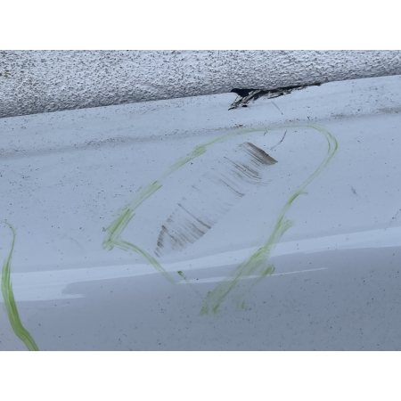 DACIA DOKKER 2012 - DRZWI LEWE TYLNE LEWY TYŁ BEZ SZYBY 901531868R