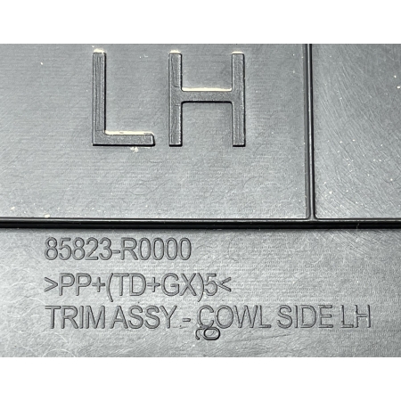 B3 CARNIVAL IV 2020 - OSŁONA OBUDOWA PROGU LEWA 84851-R0000